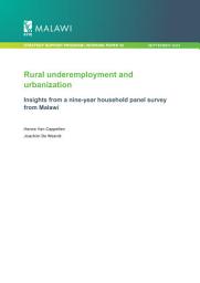 Icon image Rural underemployment and urbanization: Insights from a nine year household panel survey from Malawi