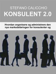 Icon image Konsulent 2.0: Hvordan organisere og administrere den nye markedsføringen for konsulenter og fagfolk