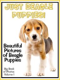 Icon image Just Beagle Puppies! vol. 1: Big Book of Photographs & Beagle Puppy Dog Pictures