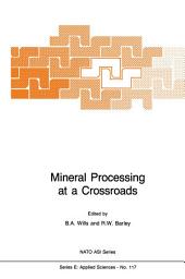 Icon image Mineral Processing at a Crossroads: Problems and Prospects