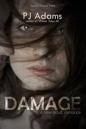 Icon image Damage: A New Adult romance