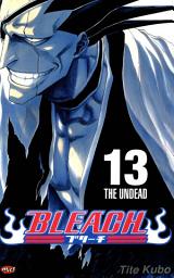 Icon image Bleach 13