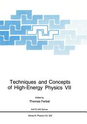 Icon image Techniques and Concepts of High-Energy Physics VII