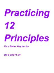 Icon image Practicing 12 Principles: For a Better Way to Live