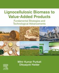 Icon image Lignocellulosic Biomass to Value-Added Products: Fundamental Strategies and Technological Advancements