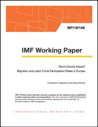 Icon image Storm Clouds Ahead? Migration and Labor Force Participation Rates in Europe