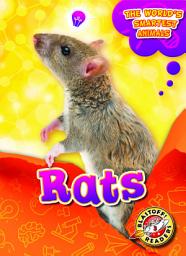 Icon image Rats