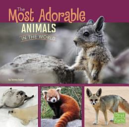 Icon image Most Adorable Animals in the World