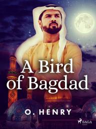 Icon image A Bird of Bagdad