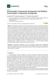 Icon image Neutrosophic Components Semigroups and Multiset Neutrosophic Components Semigroups