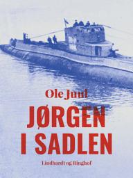 Icon image Jørgen i sadlen: Bind 1