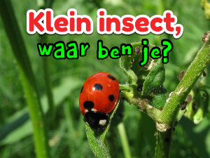 Icon image Klein insect, waar ben je?