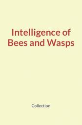 Icon image Intelligence of Bees and Wasps