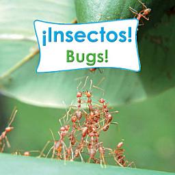 Icon image Insectos!: Bugs!