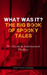 Icon image WHAT WAS IT? THE BIG BOOK OF SPOOKY TALES – 55+ Occult & Supernatural Thrillers (Horror Classics Anthology): Number 13, The Deserted House, The Man with the Pale Eyes, The Oblong Box, The Birth-Mark, A Terribly Strange Bed, The Torture by Hope, The Mysterious Card and many more