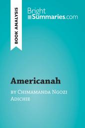 Icon image Americanah by Chimamanda Ngozi Adichie (Book Analysis): Detailed Summary, Analysis and Reading Guide