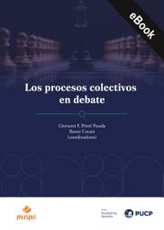 Icon image Los procesos colectivos en debate