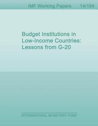 Icon image Budget Institutions in Low-Income Countries: Lessons from G-20