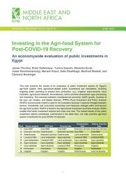 Icon image Investing in the agri-food system for post-COVID-19 recovery: An economywide evaluation of public investments in Egypt