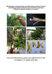 Icon image Morphological characterization of edible banana varieties in Kerala (including germplasm collection) and male flower nutritional analysis of selected varieties: an overview