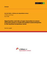 Icon image Opportunities and risks of open innovation to ensure innovative power in small and medium-sized enterprises in the business-to-business sector