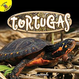 Icon image Tortugas: Turtles