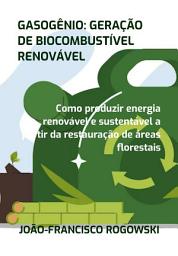 Icon image Gasogênio: Geração De Biocombustível Renovável