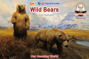 Icon image Wild Bears