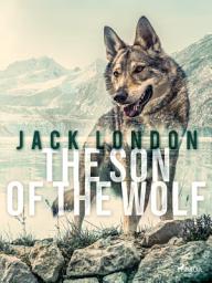 Icon image The Son of the Wolf