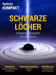 Icon image Spektrum Kompakt - Schwarze Löcher: Schwerkraftmonster im Universum