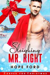 Icon image Sleighing Mr. Right