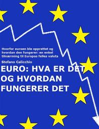 Icon image EURO: Hva er det og hvordan fungerer den: Hvorfor euroen ble opprettet og hvordan den fungerer: en enkel tilnærming til Europas felles valuta