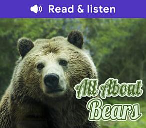 Icon image All About Bears (Level 1 Reader)