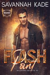 Icon image Flash Point: A Forced Proximity Protector Romantic Suspense