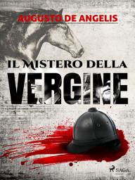 Icon image Il mistero della Vergine