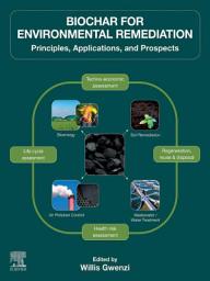 Icon image Biochar for Environmental Remediation: Principles, Applications, and Prospects