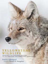 Icon image Yellowstone Wildlife: Ecology and Natural History of the Greater Yellowstone Ecosystem