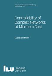 Icon image Controllability of Complex Networks at Minimum Cost