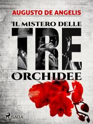 Icon image Il mistero delle tre orchidee