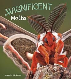 Icon image Magnificent Moths