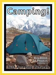 Icon image Just Camping! vol. 1: Big Book of Photographs & Horse Pictures