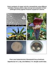 Icon image Green synthesis of copper and zinc nanoparticles using different varieties of banana starch, latex and sap and evaluation of their antifungal activity against Fusarium oxysporum cubense