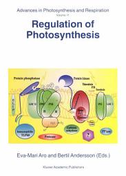 Icon image Regulation of Photosynthesis