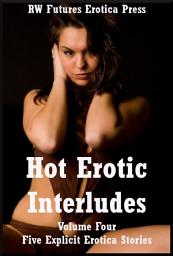 Icon image Hot Erotic Interludes: Volume Four: Five Explicit Erotica Stories