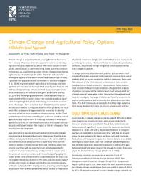 Icon image Climate change and agricultural policy options: A global-to-local approach