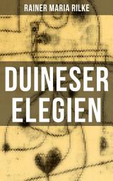 Icon image Duineser Elegien: Elegische Suche nach Sinn des Lebens und Zusammenhang