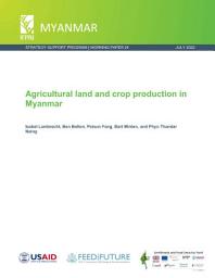 Icon image Agricultural land and crop production in Myanmar