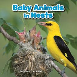 Icon image Baby Animals in Nests