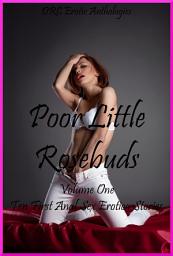 Icon image Poor Little Rosebuds Volume One: Ten First Anal Sex Erotica Stories