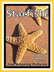 Icon image Just Starfish! vol. 1: Big Book of Star Fish Photographs & Pictures